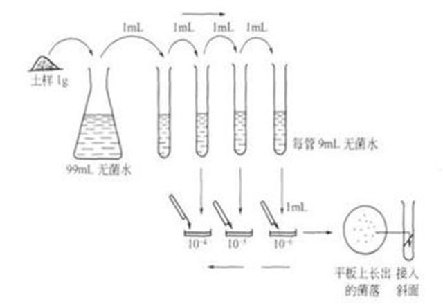 西安悟空检测