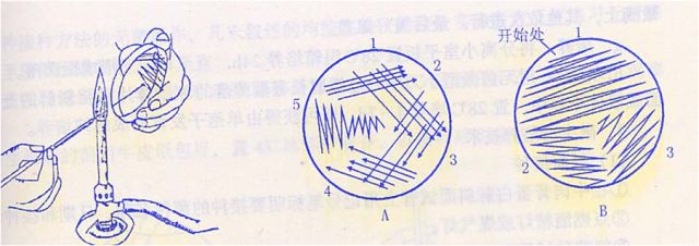 西安悟空检测
