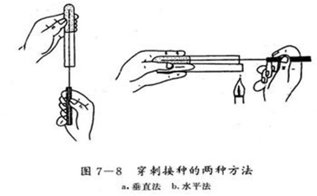 西安悟空检测