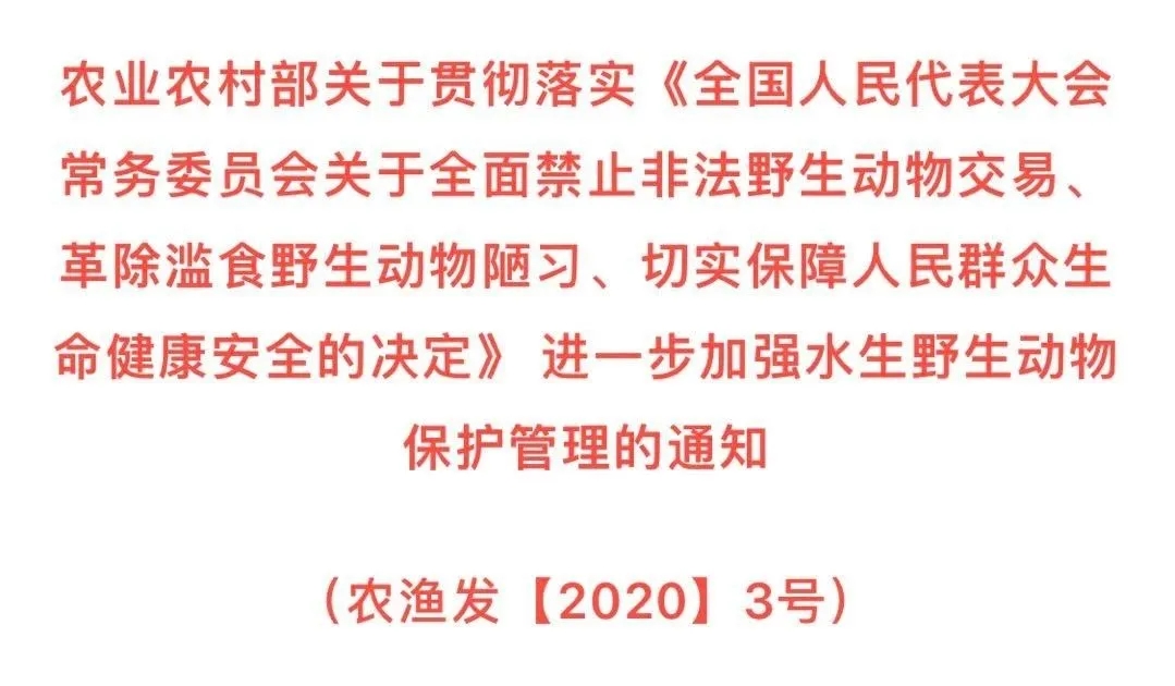 640.webp (19).jpg
